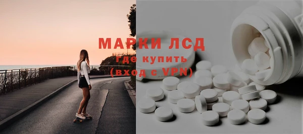 прущие грибы Баксан