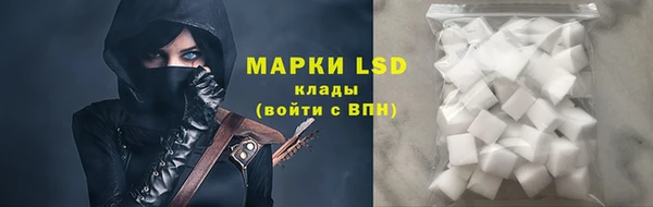 прущие грибы Баксан