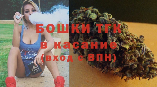 прущие грибы Баксан