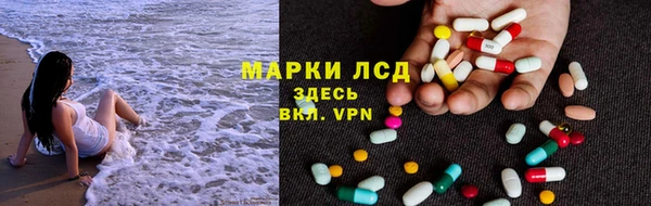 прущие грибы Баксан