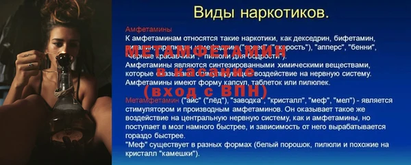 прущие грибы Баксан
