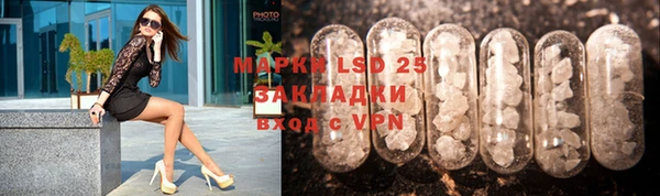 прущие грибы Баксан